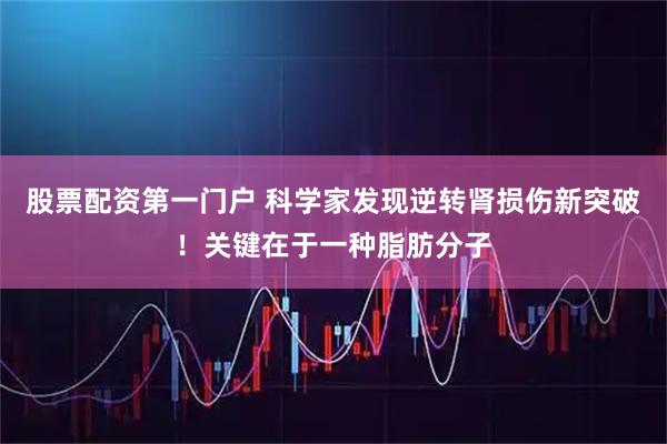 股票配资第一门户 科学家发现逆转肾损伤新突破！关键在于一种脂肪分子